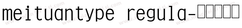 meituantype regula字体转换